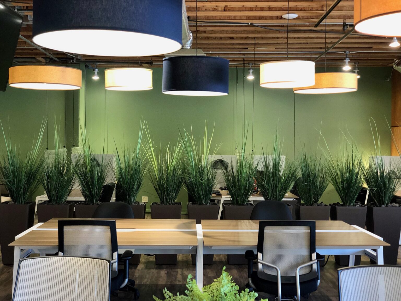 Desks with a wall of plants